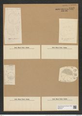 Coscinodiscus curvatulus var. karianus Cleve et Grun. (de-Toni-Nr.: Genus 202, Species 4928) Zeichnungen Sammlung Grunow Nr. 8508 (NHMW-BOT-W0378127)